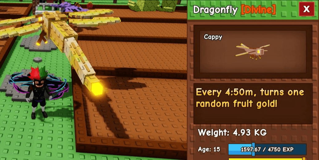 Product Showcase