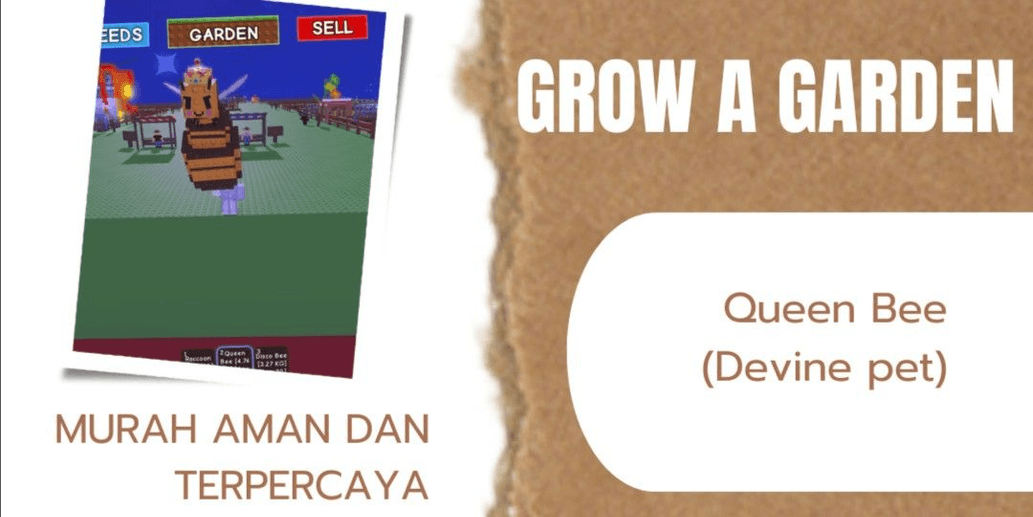 Product Showcase