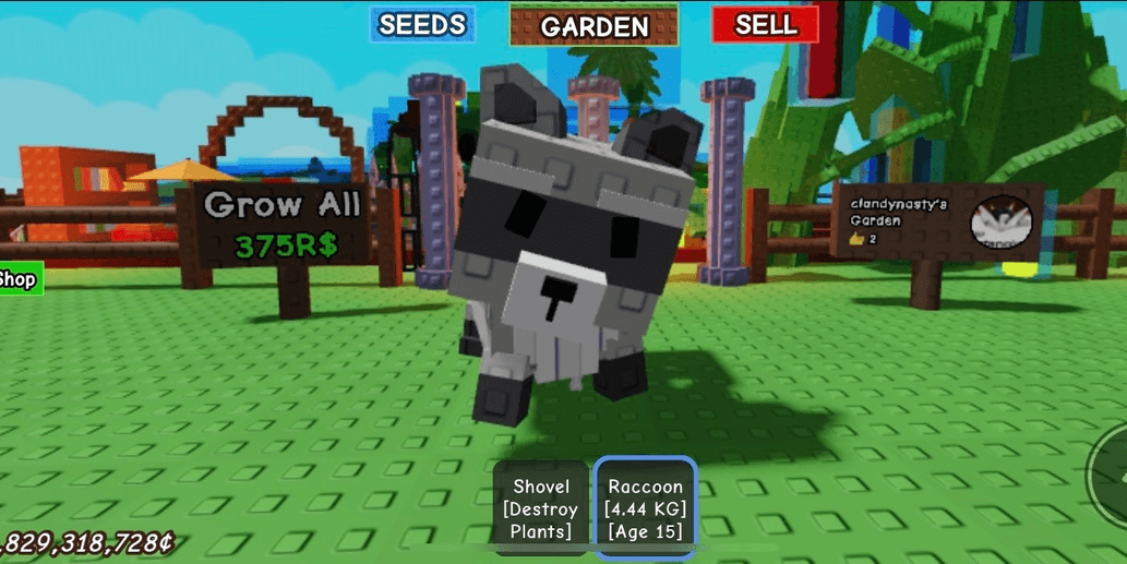 Product Showcase