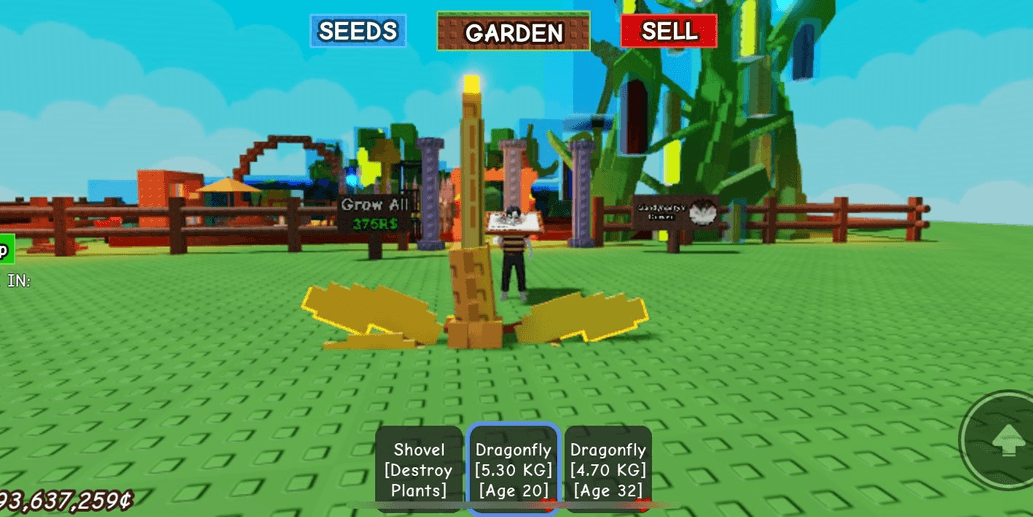Product Showcase