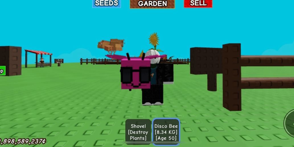 Product Showcase