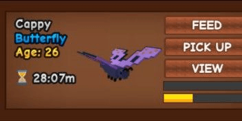 Gambar Product Butterfly