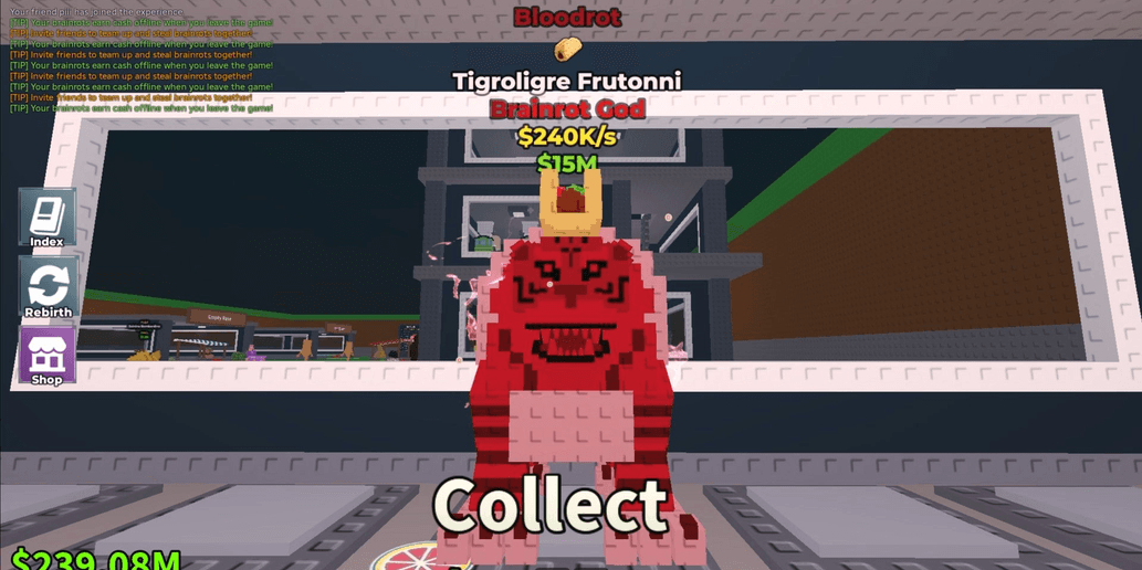 Product Showcase