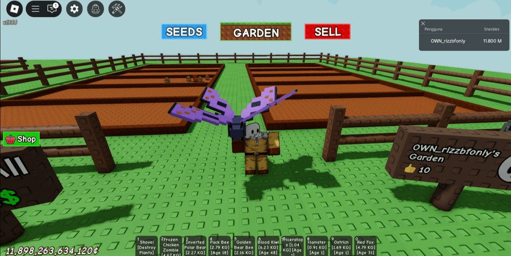 Product Showcase