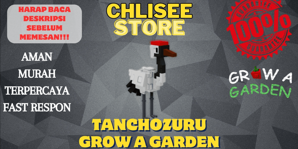 Product Showcase