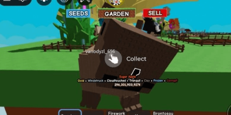 Product Showcase