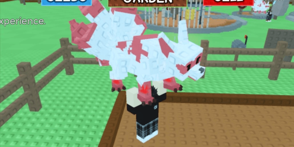 Product Showcase