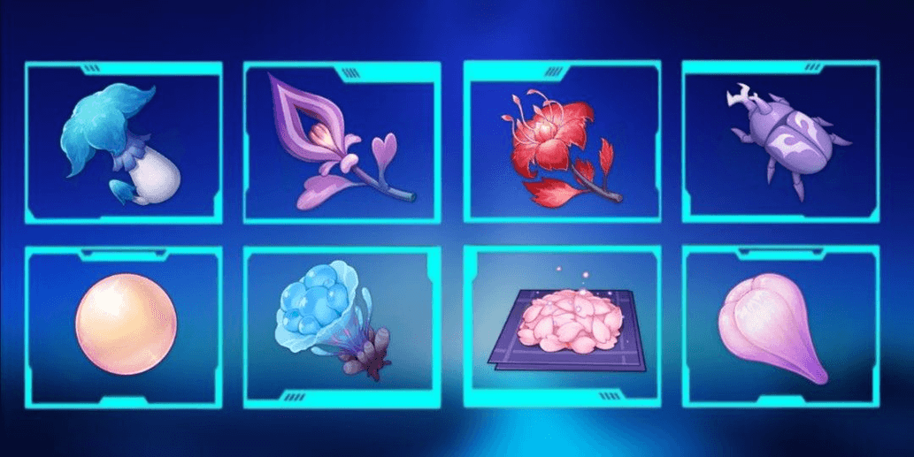 Product Showcase