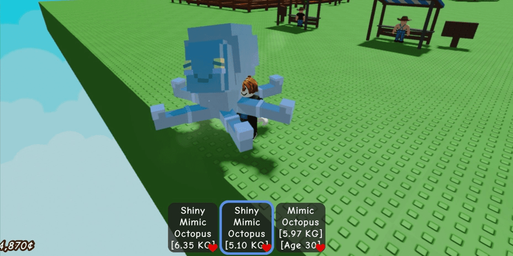 Product Showcase
