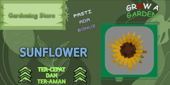 Product Showcase