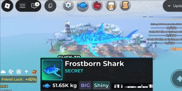 Product Showcase