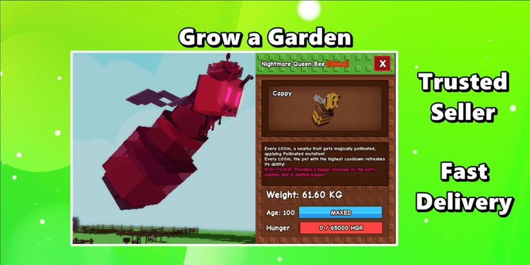 Product Showcase
