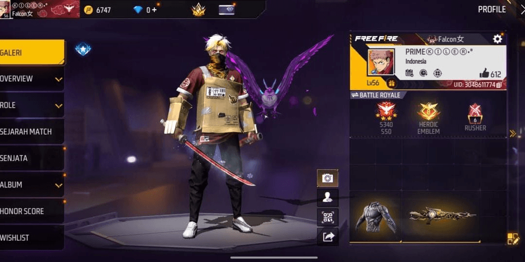 Product Showcase