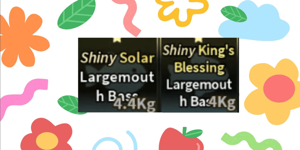 Product Showcase