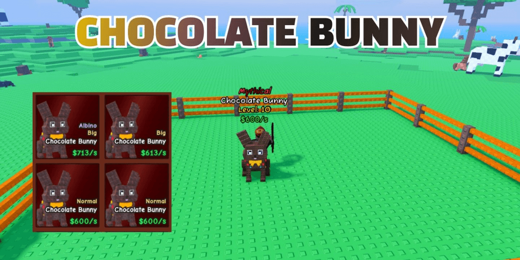 Product Showcase