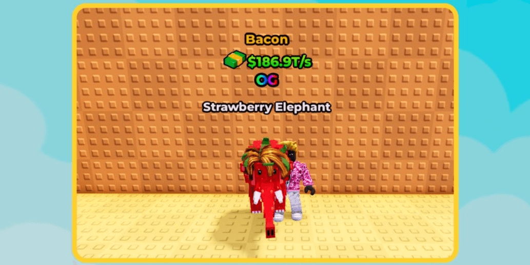 Product Showcase