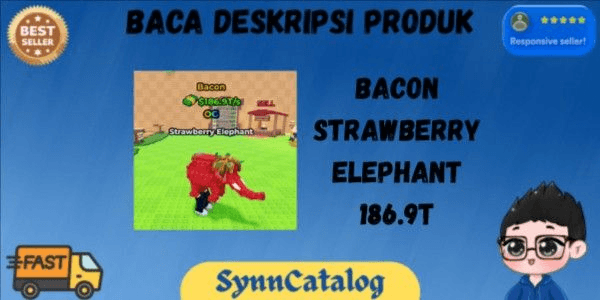Product Showcase
