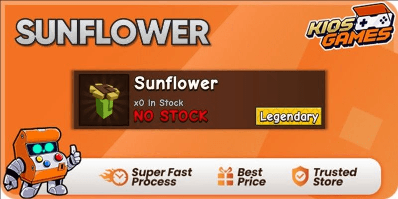 Product Showcase