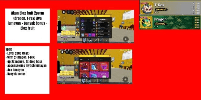 Product Showcase