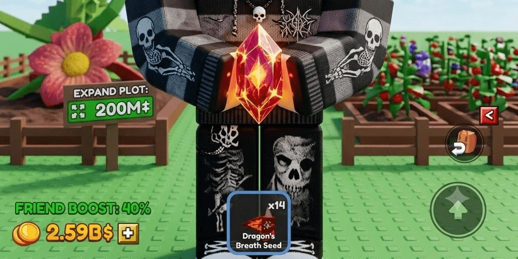 Product Showcase