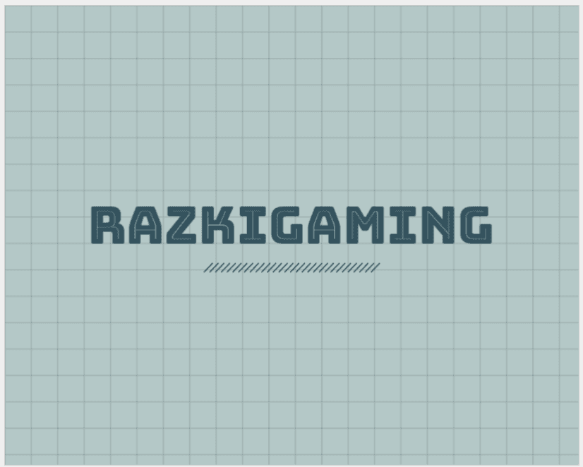 avatar RazkiGaming