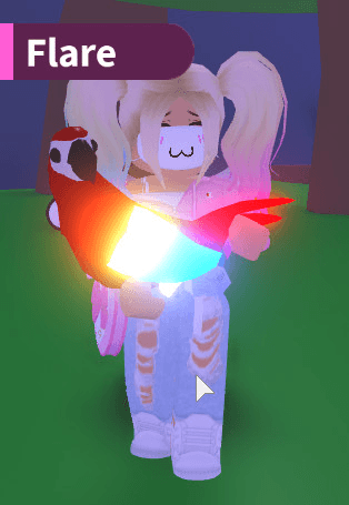 Product Showcase