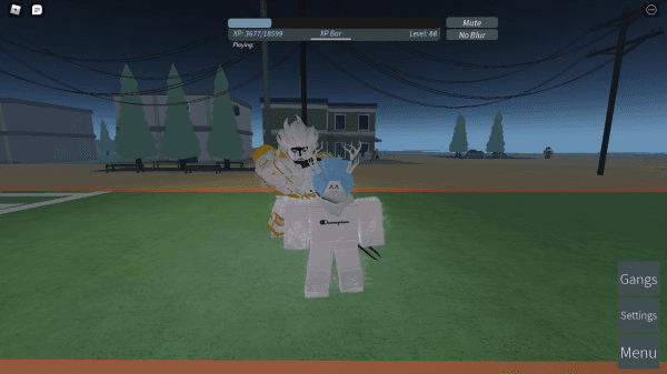 Product Showcase