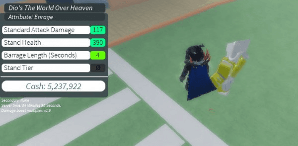 Product Showcase