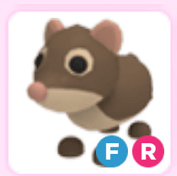 Product Showcase