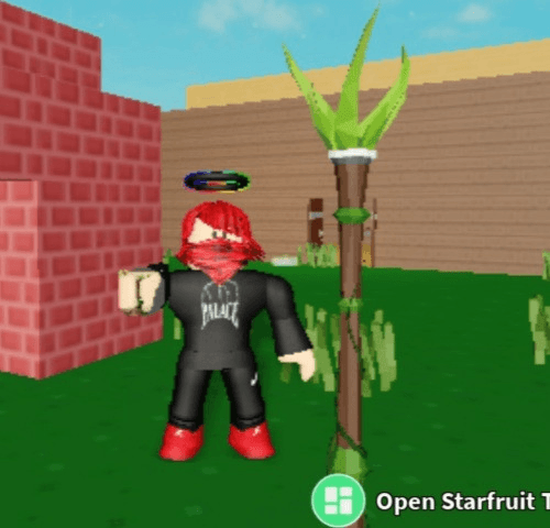 Product Showcase