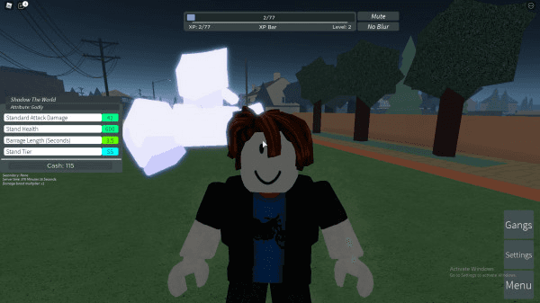 Product Showcase