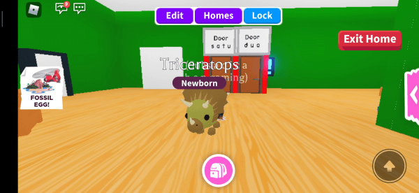Product Showcase