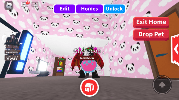 Product Showcase