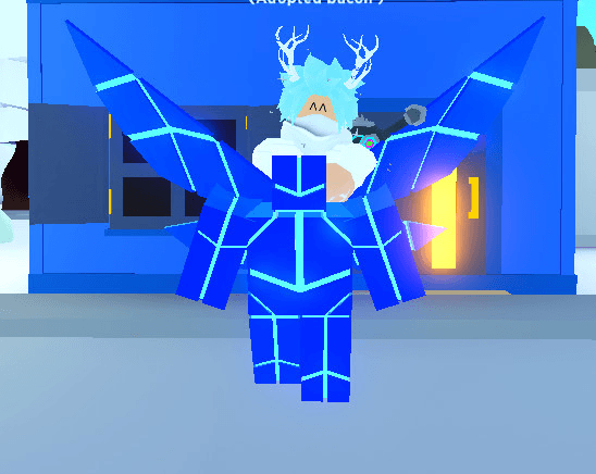Product Showcase