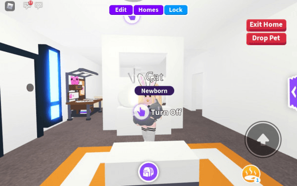 Product Showcase