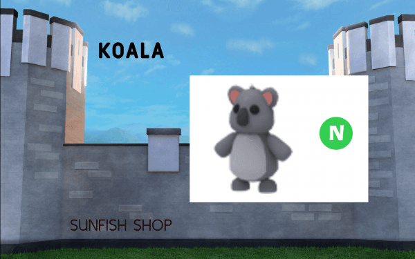 Product Showcase