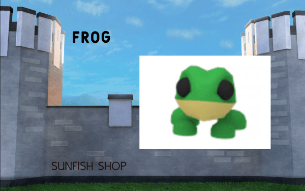 Product Showcase