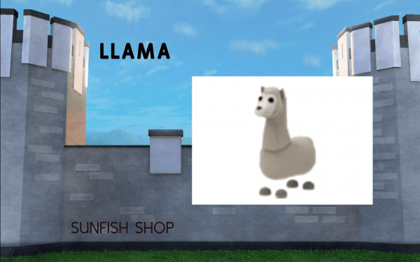 Product Showcase