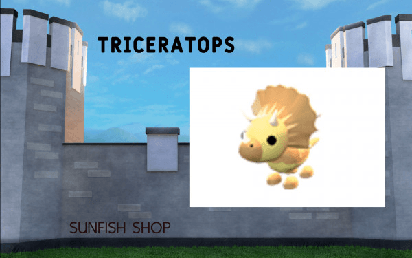 Product Showcase