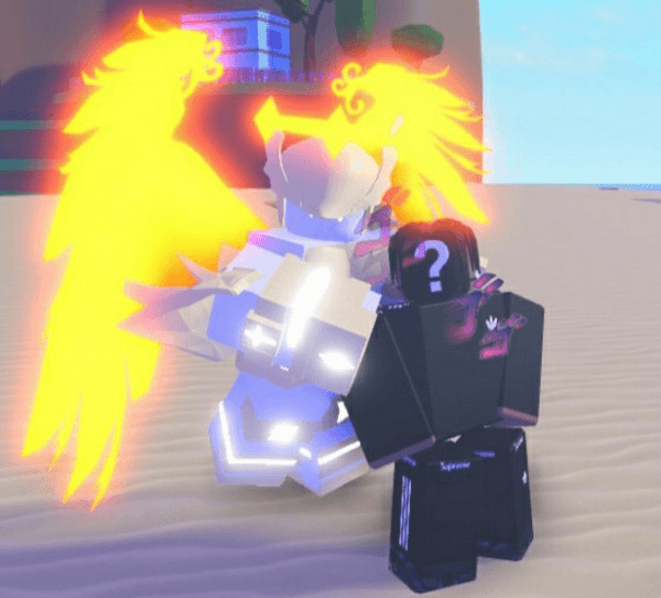 Product Showcase