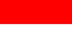 Country's Flag