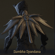 Product Showcase