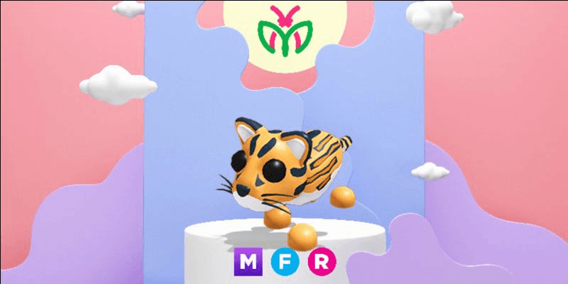 Product Showcase