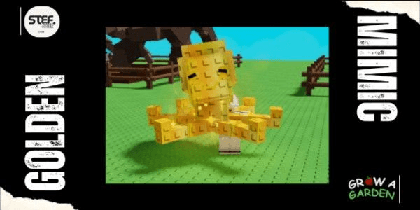 Product Showcase