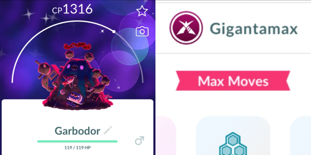 Product Showcase