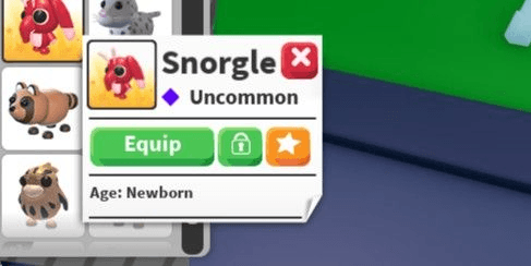 Product Showcase