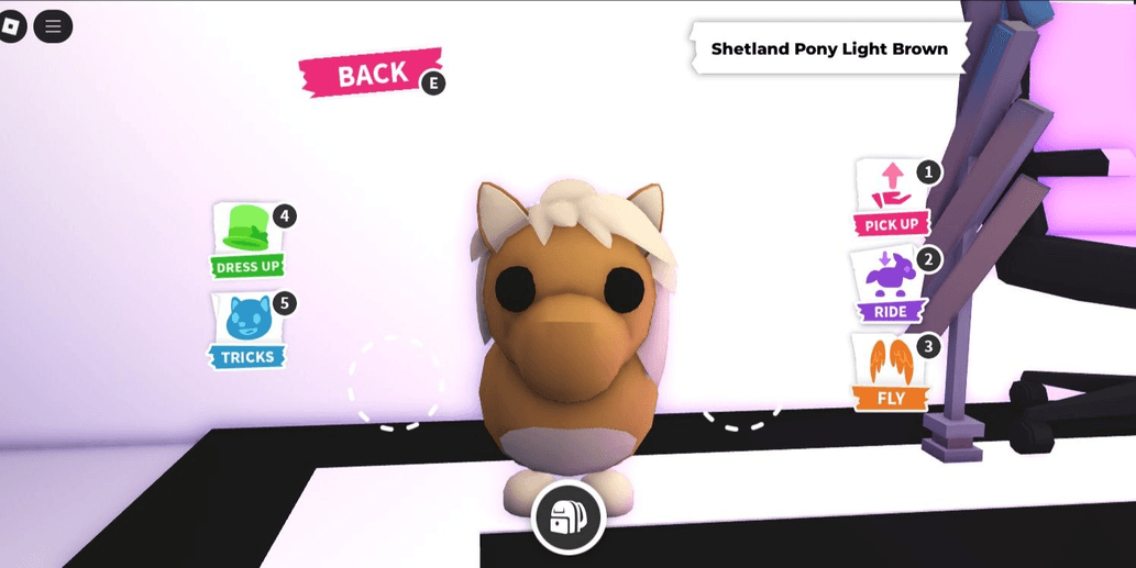 Product Showcase