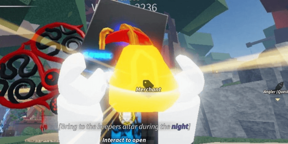 Product Showcase