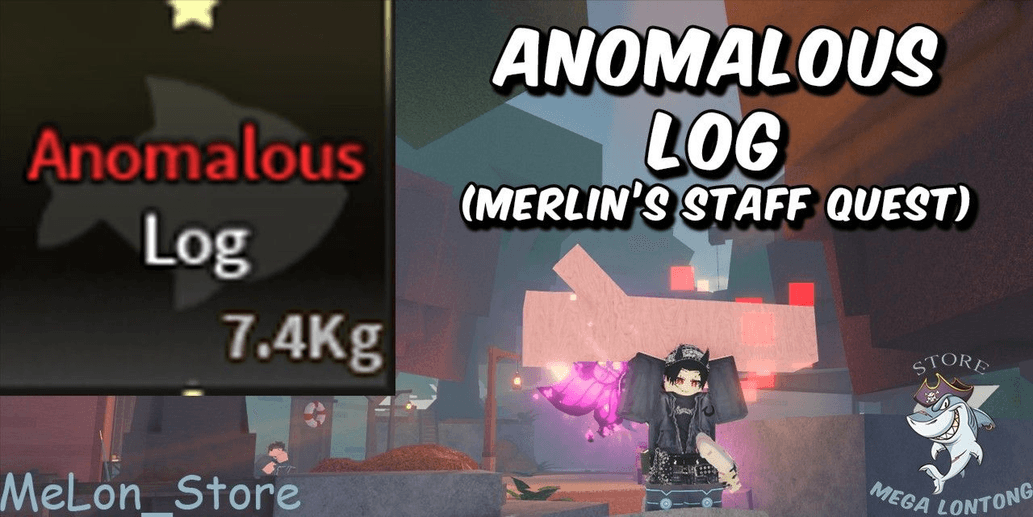 Product Showcase