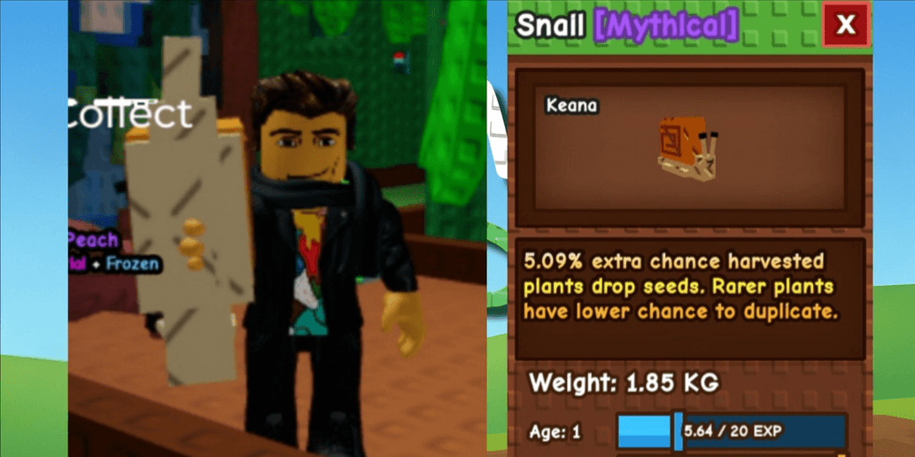 Product Showcase